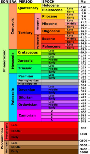 Geologic Ages